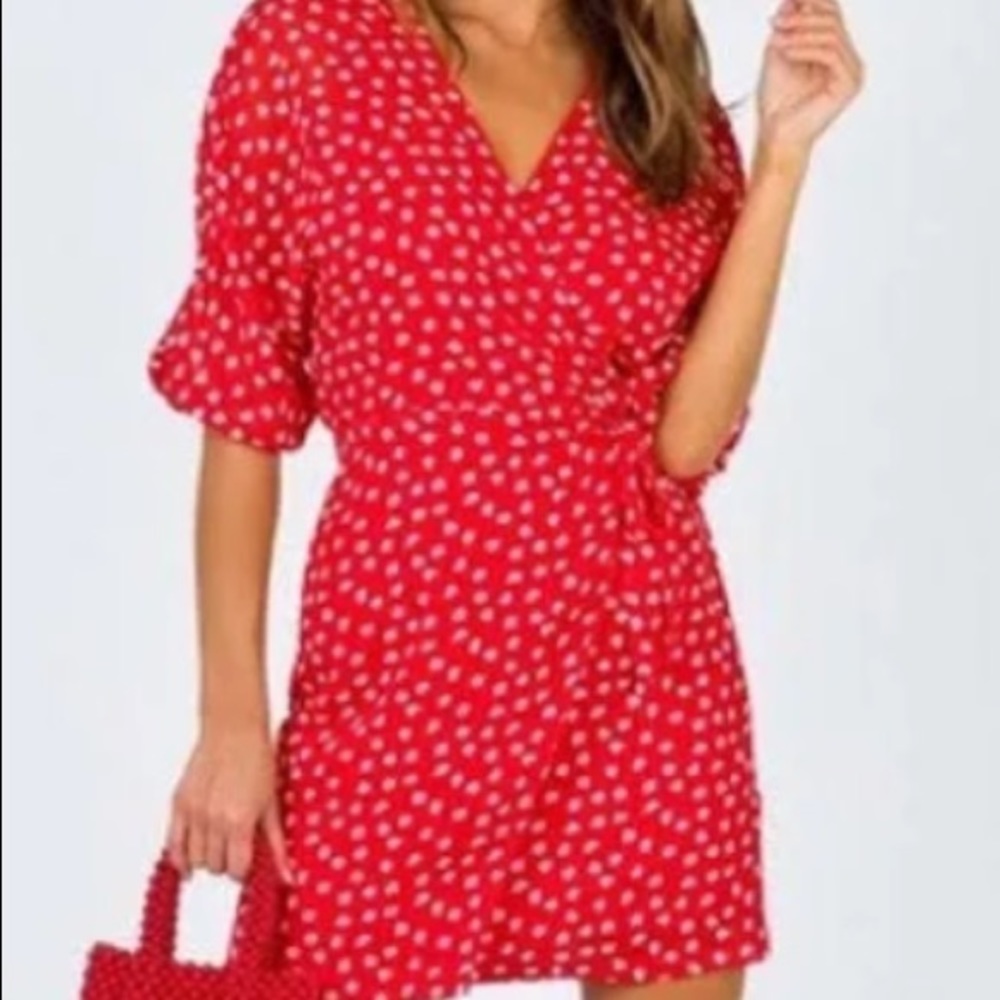 Princess Polly Lovey Dove mini dress